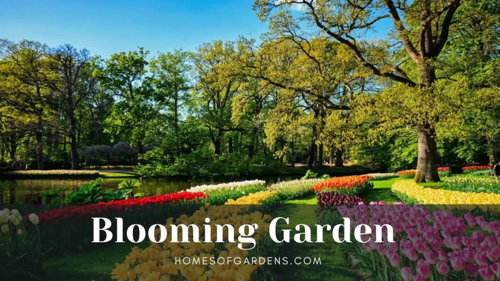 Blooming garden