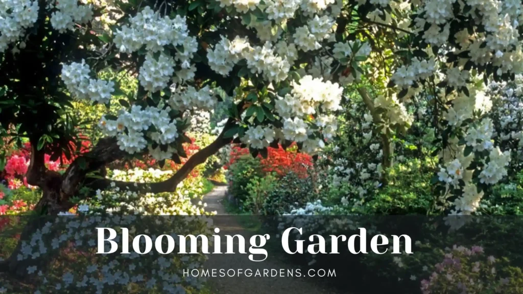 Featured image blooming garden