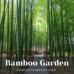 Featured image Bamboo Garden