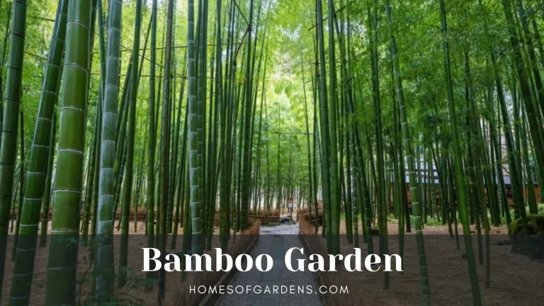 Featured image Bamboo Garden