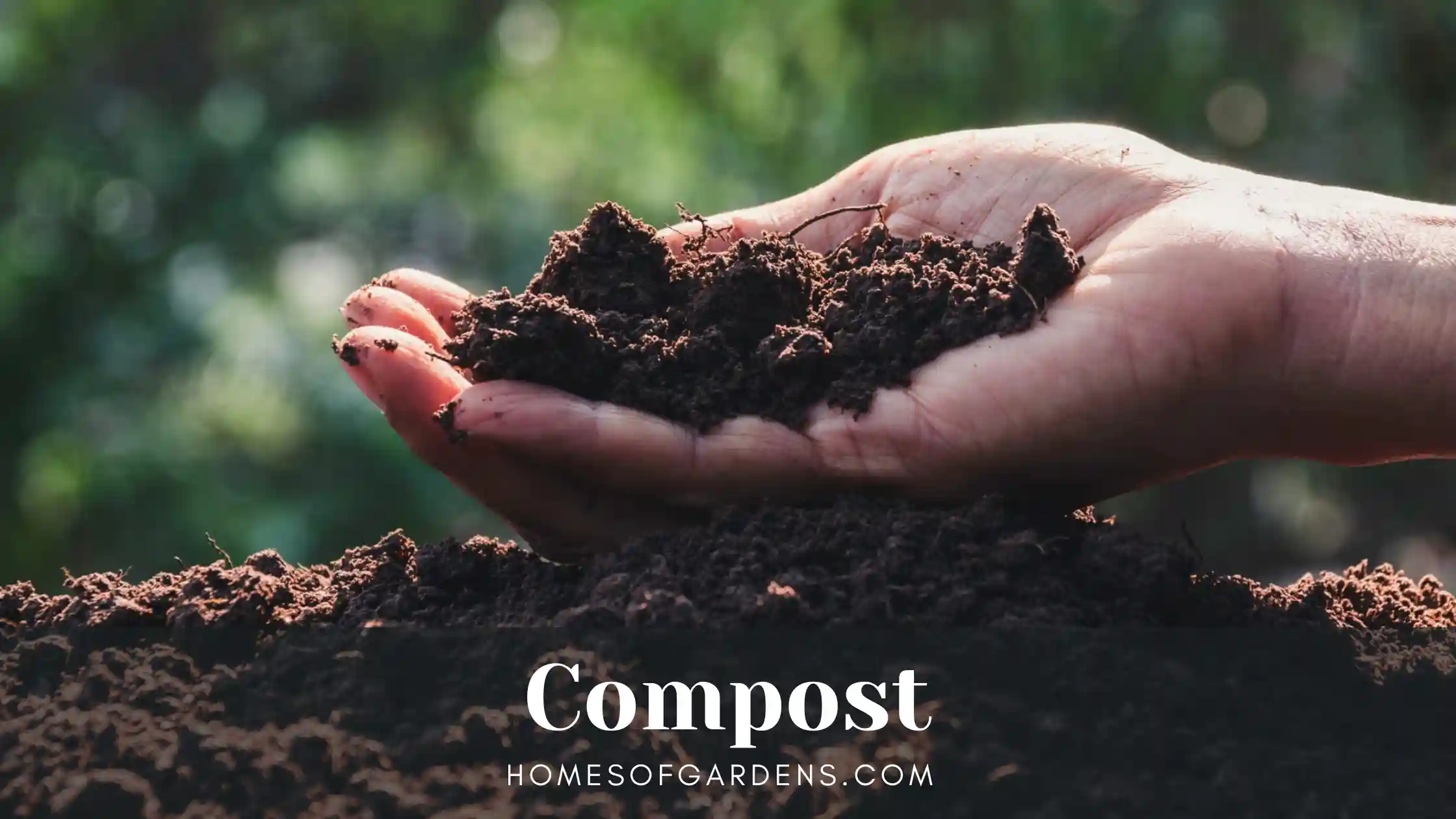 Featured image Compost