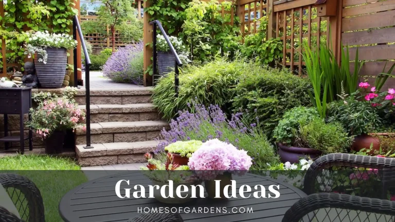 Featured image Garden Ideas