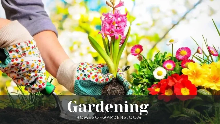 Featured image Gardening