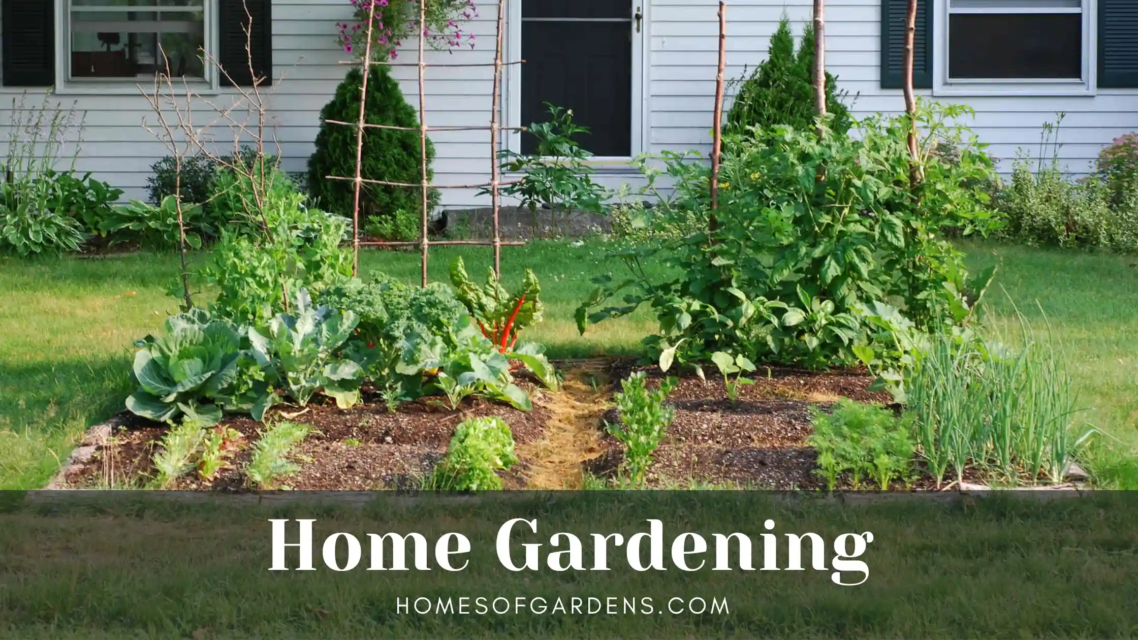 Featured image Home Gardening