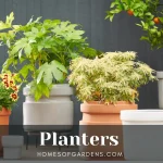 Featured image Planters