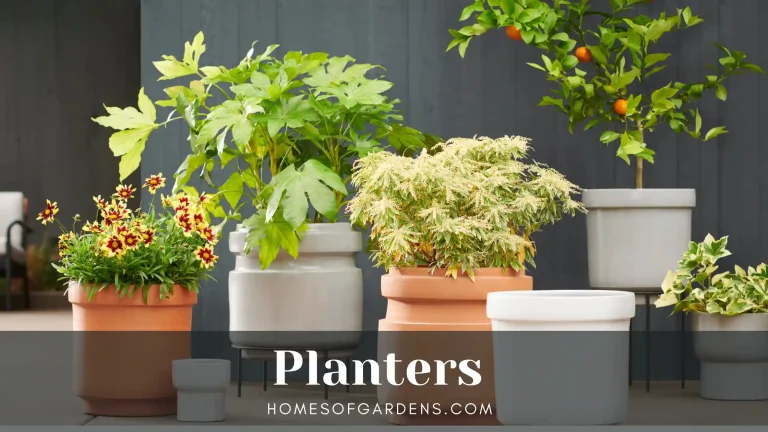 Featured image Planters