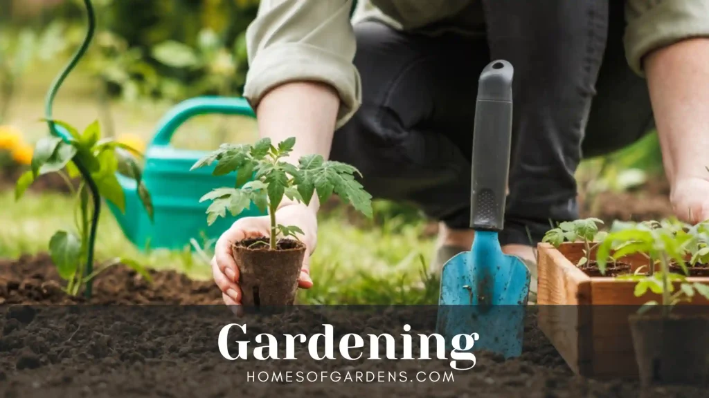 Gardening image
