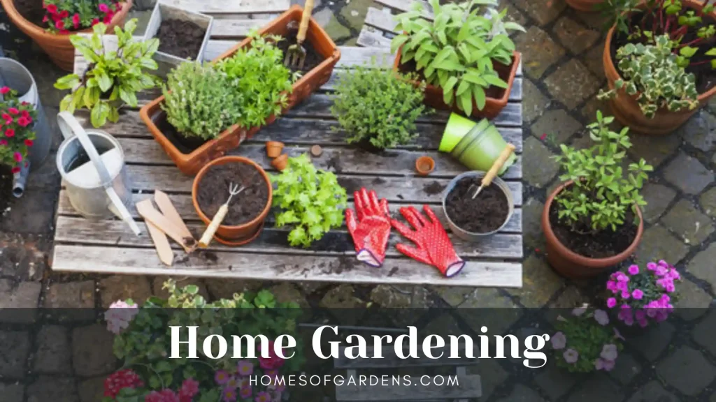 Home Gardening image
