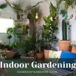 Featured image indoor gardening