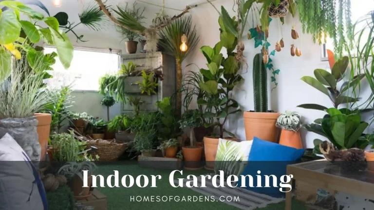 Featured image indoor gardening