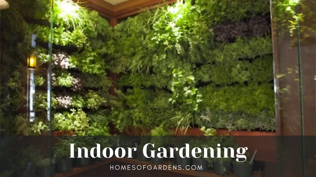 indoor gardening image